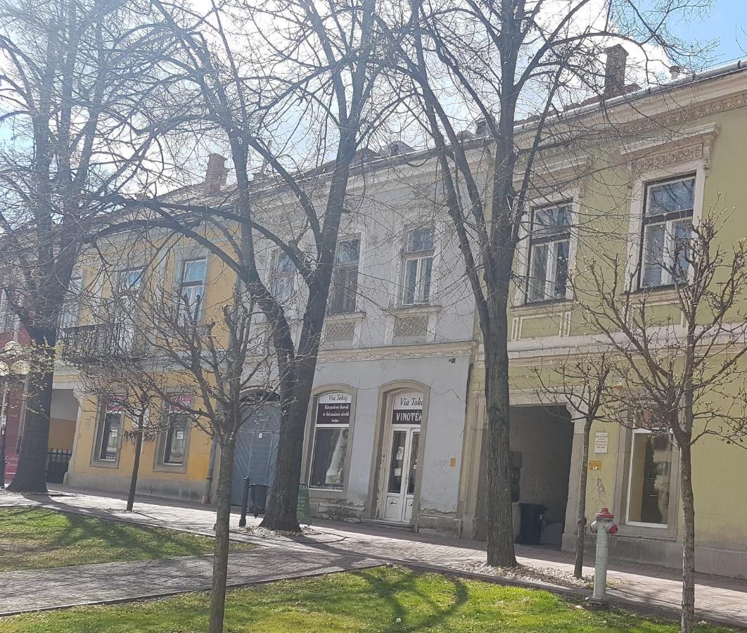 Via Tokaj Vendeghaz Apartment Satoraljaujhely Exterior photo