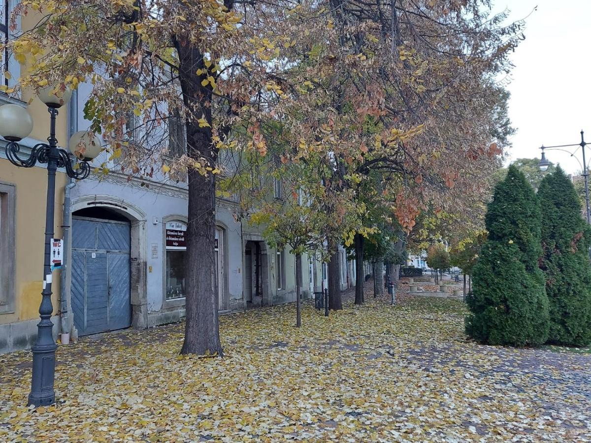 Via Tokaj Vendeghaz Apartment Satoraljaujhely Exterior photo