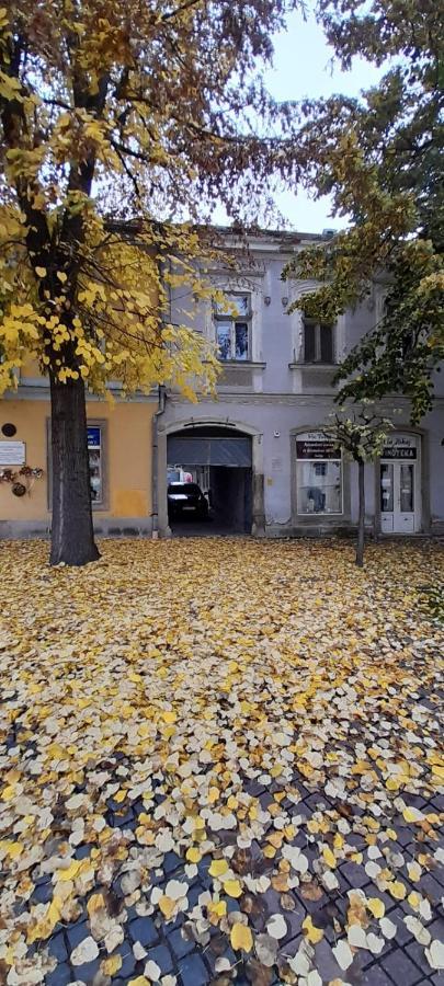 Via Tokaj Vendeghaz Apartment Satoraljaujhely Exterior photo